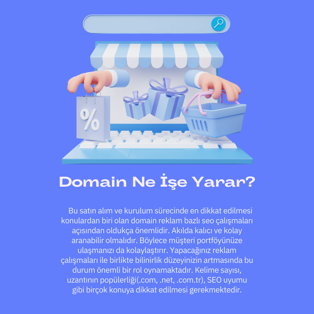 Domain Ne İşe Yarar