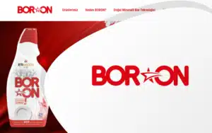 Boron-300x188