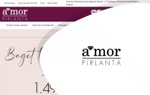 amor_pirlanta-300x190