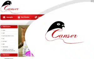 canser-300x190