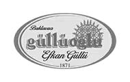 gulluoglu