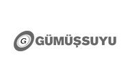 gumussuyu