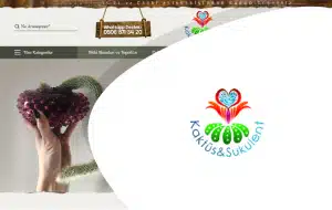 kaktus_sukulent-300x190