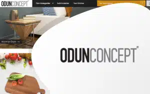 odunconcept-300x188