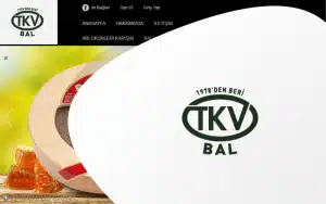 tkv-bal-300x188